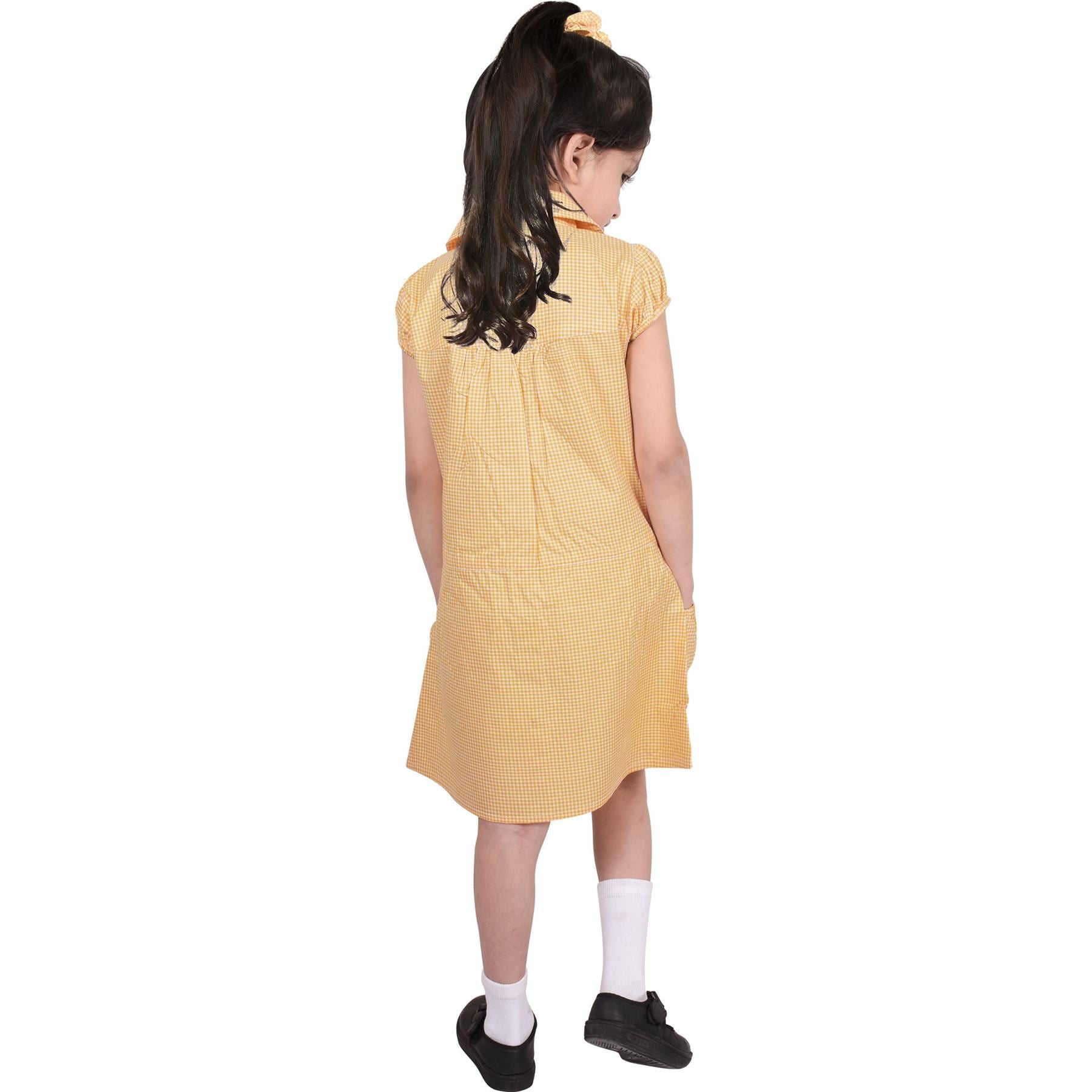 Girls Uniform School Dress Gingham Check Printed Dress With Matching Scrunchies