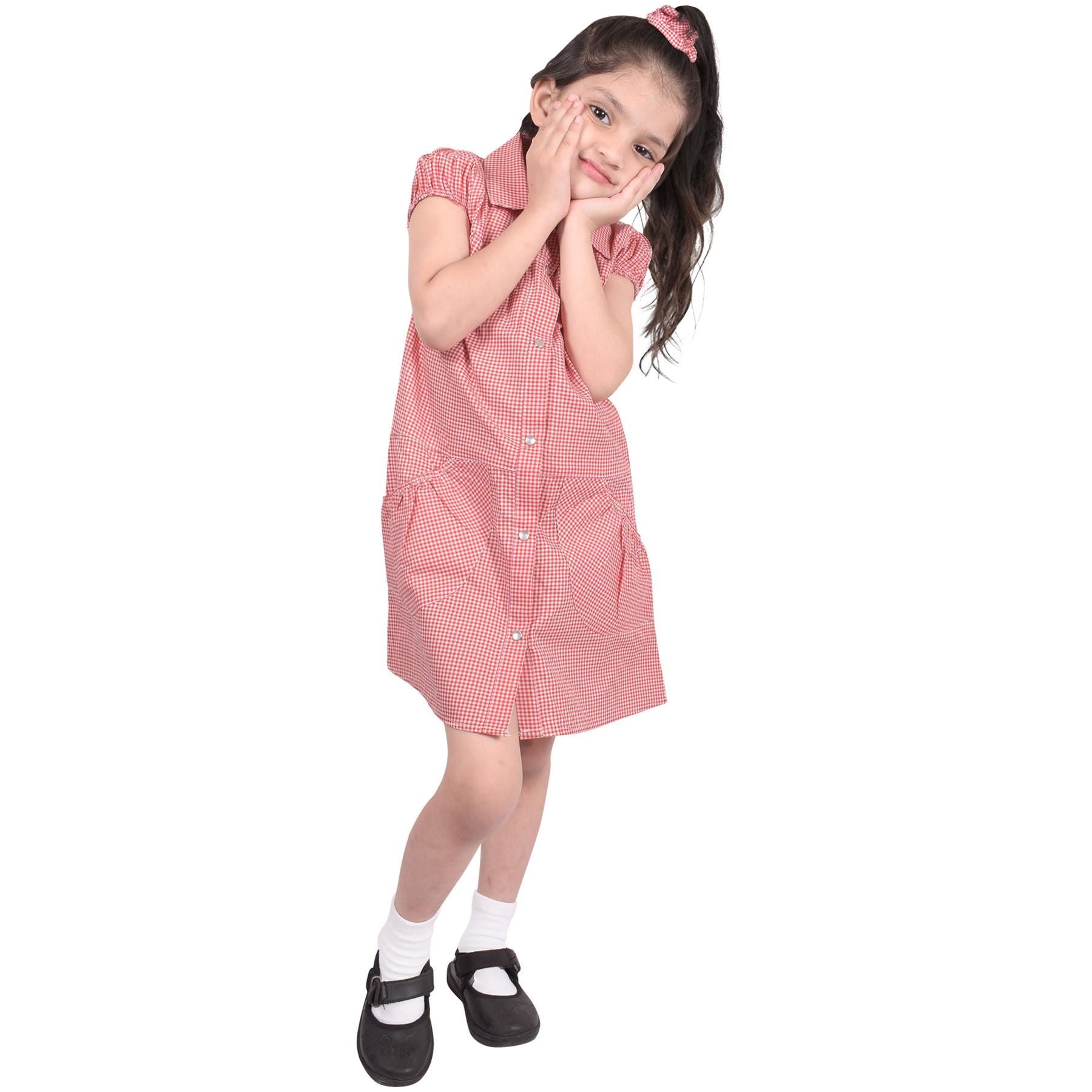 Girls Uniform School Dress Gingham Check Printed Dress With Matching Scrunchies