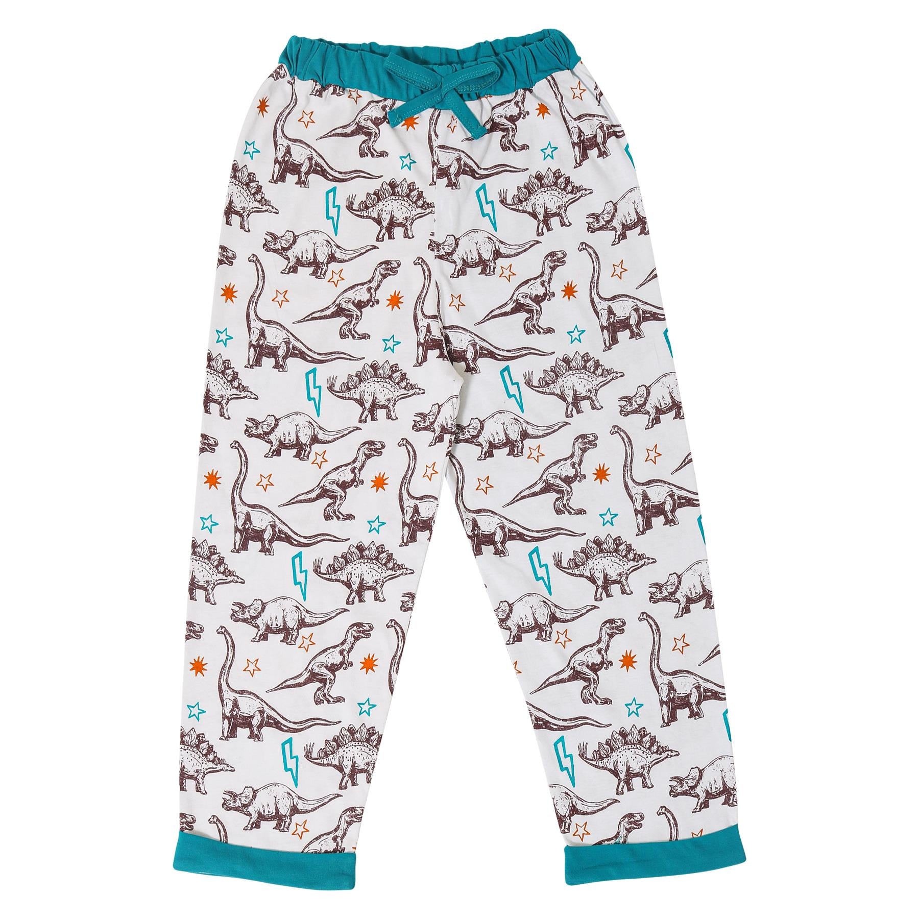 Kids Girls Boys Dinosaur Print Pyjamas Set